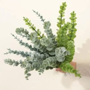 EUCALYPTUS BUNCH